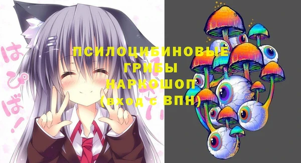 ECSTASY Няндома